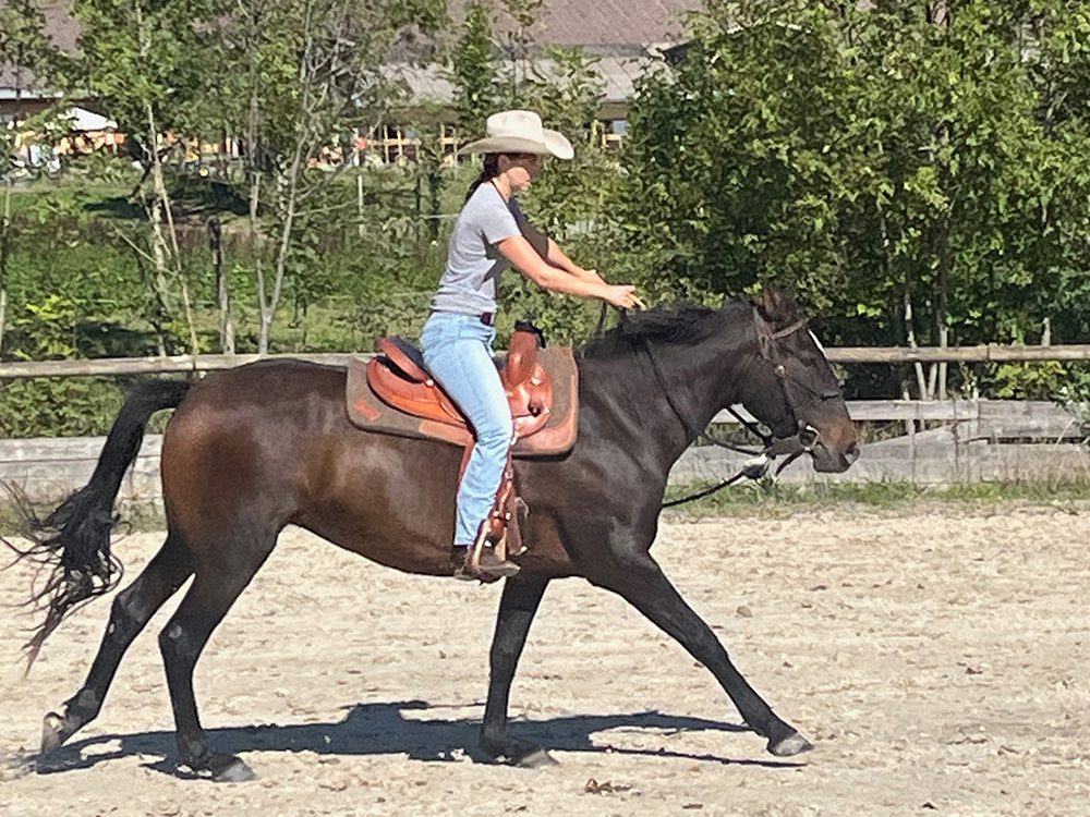 Equitation Western - Stage - Anniversaire