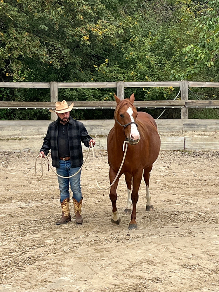 Equitation Western - Stage Horsemanship